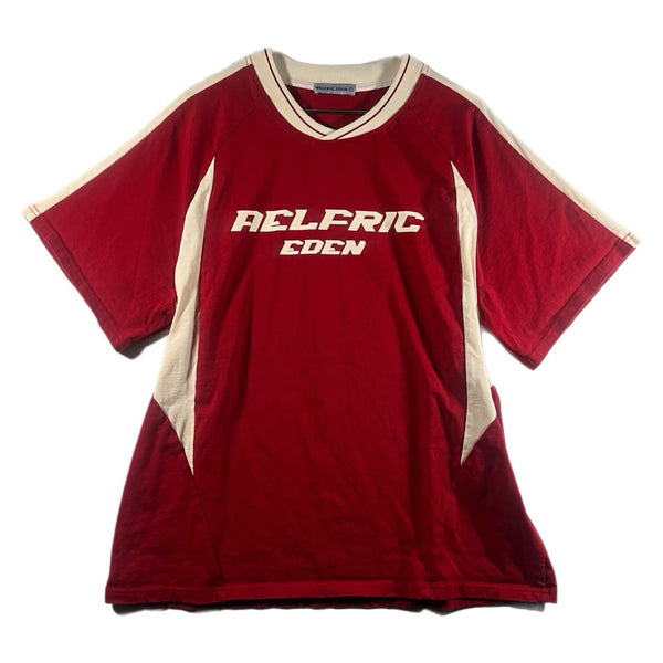 Aelfric Eden Men's Logo Graphic Baggy Heavyweight Retro T Shirt Red (Large)